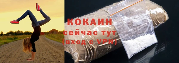амф Бородино