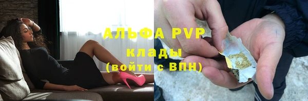 амф Бородино