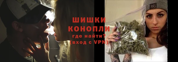 амф Бородино
