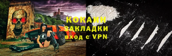 амф Бородино