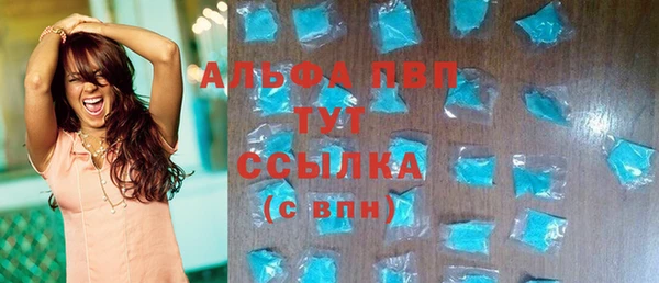 амф Бородино