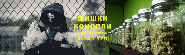 амф Бородино