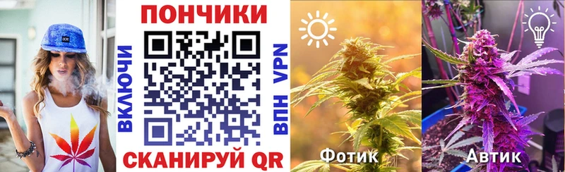 Марихуана Amnesia  Купить где  Сегежа 